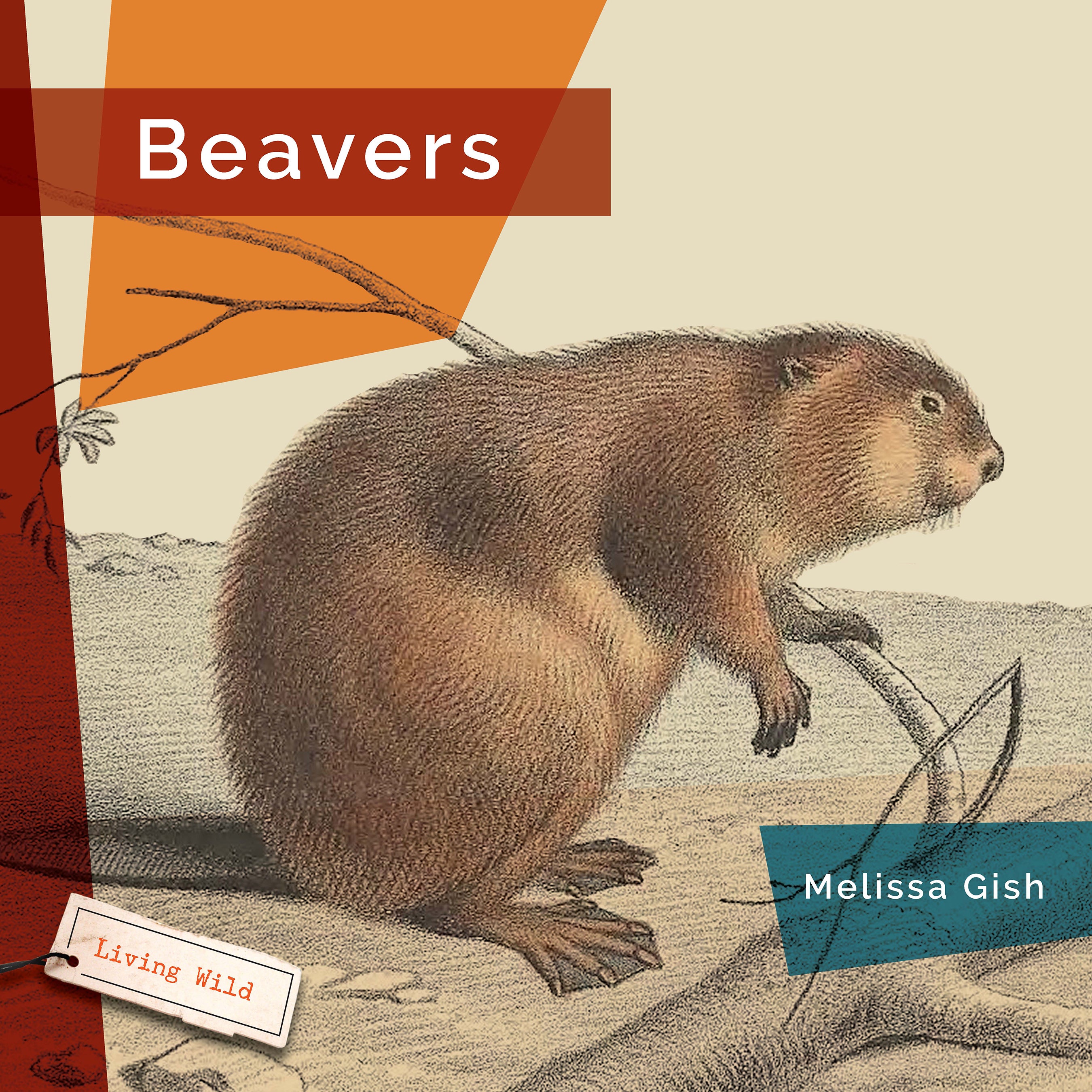 Beavers: 9781640267725 - Nature Books for Kids, Wildlife Education & Animal Facts - Perfect for Classroom Learning & Homeschooling