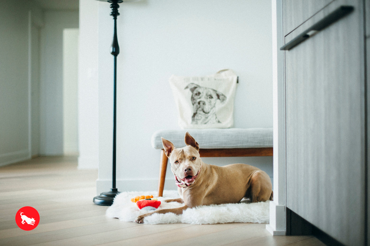 El Sushi Dog Plush Toy - International Classic™ Chew-Resistant Stuffed Animal for Dogs | Pet P.L.A.Y. | Perfect for Playtime, Cuddling & Training