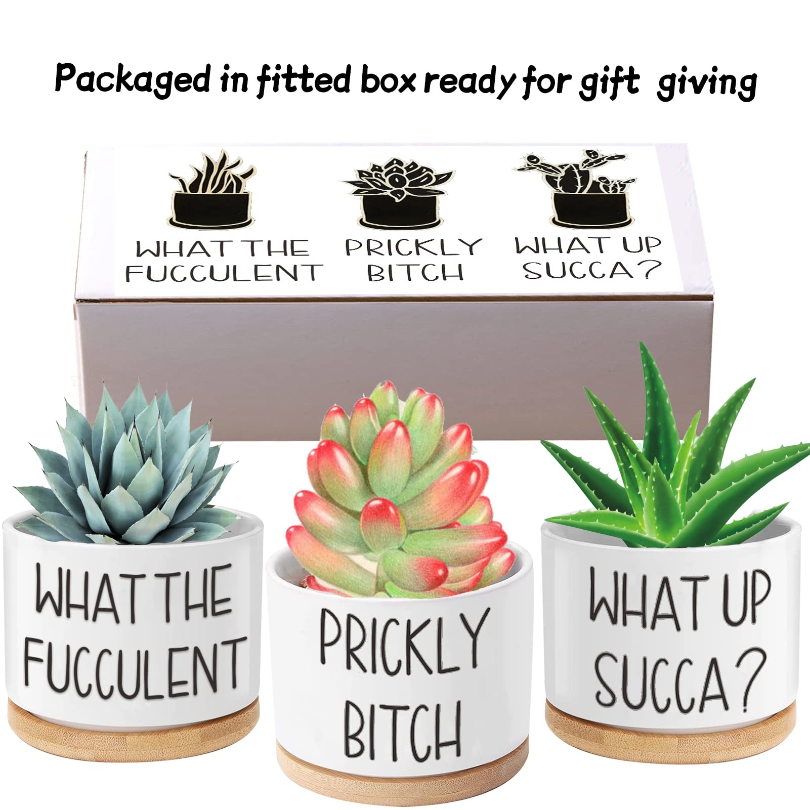 3.15 Inch Ceramic Succulent Pots with Drainage Holes & Saucers - Pack of 3 Small Plant Pots with Funny Plant Labels - Unique Gardening Gifts for Women Birthday, Mother's Day, Housewarming - Perfect for Indoor Plants, Office Desk Decor, and Home Gardening
