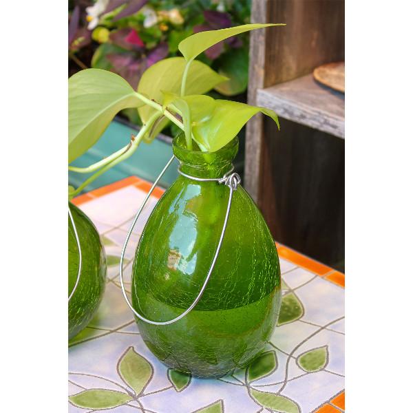 Achla Designs Rooting Vase - Clear Glass Plant Propagation Vase for Herbs, Flowers & Cuttings | Perfect for Indoor Gardening, Home Decor & Gift Giving