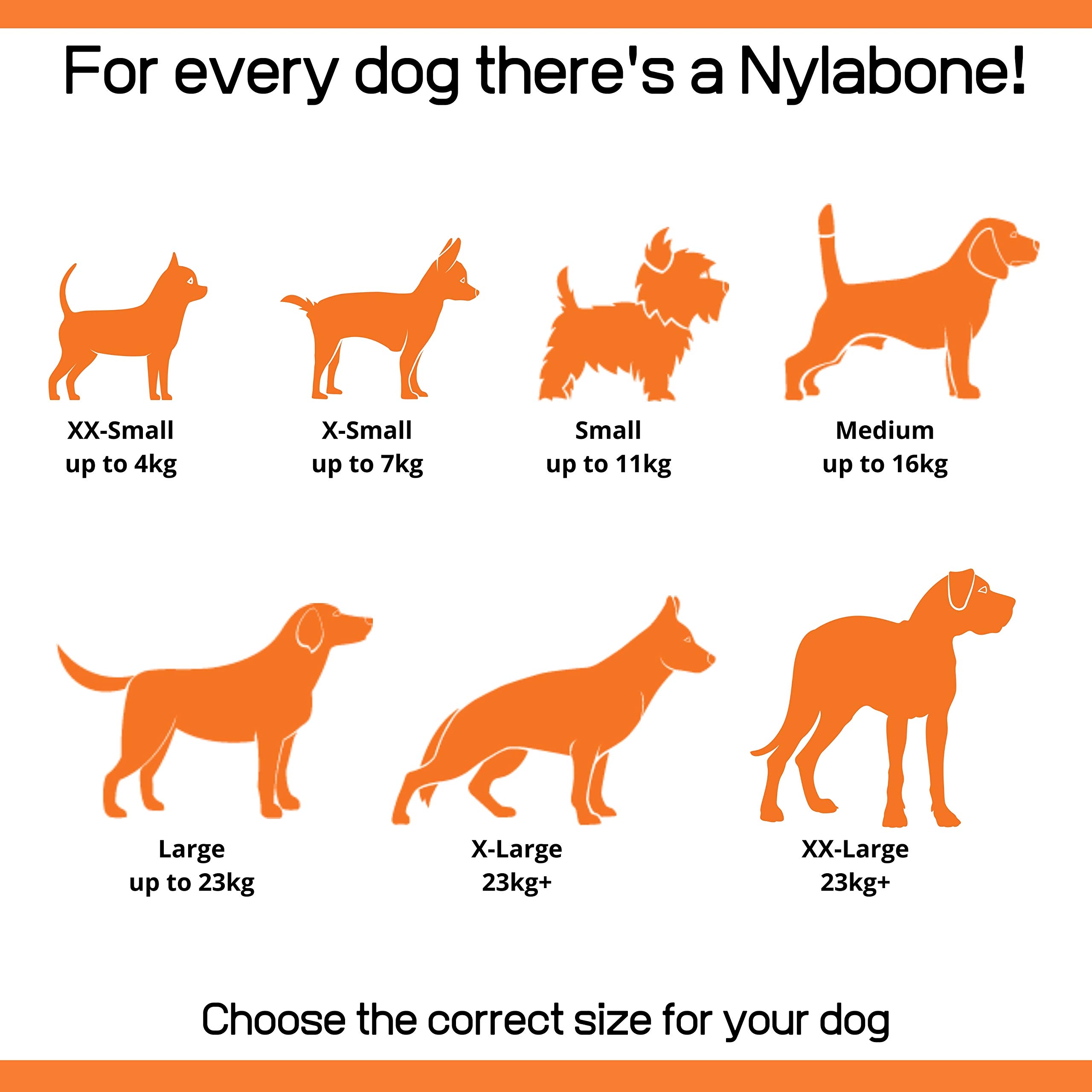 Nylabone Power Chew Small Dog Chew Toys Value Pack - Peanut Butter, Bacon & Chicken Flavored X-Small/Petite for Dogs Up to 7kg (3 Count) | Durable Puppy Teething Toy for Aggressive Chewers, Interactive Play & Dental Health