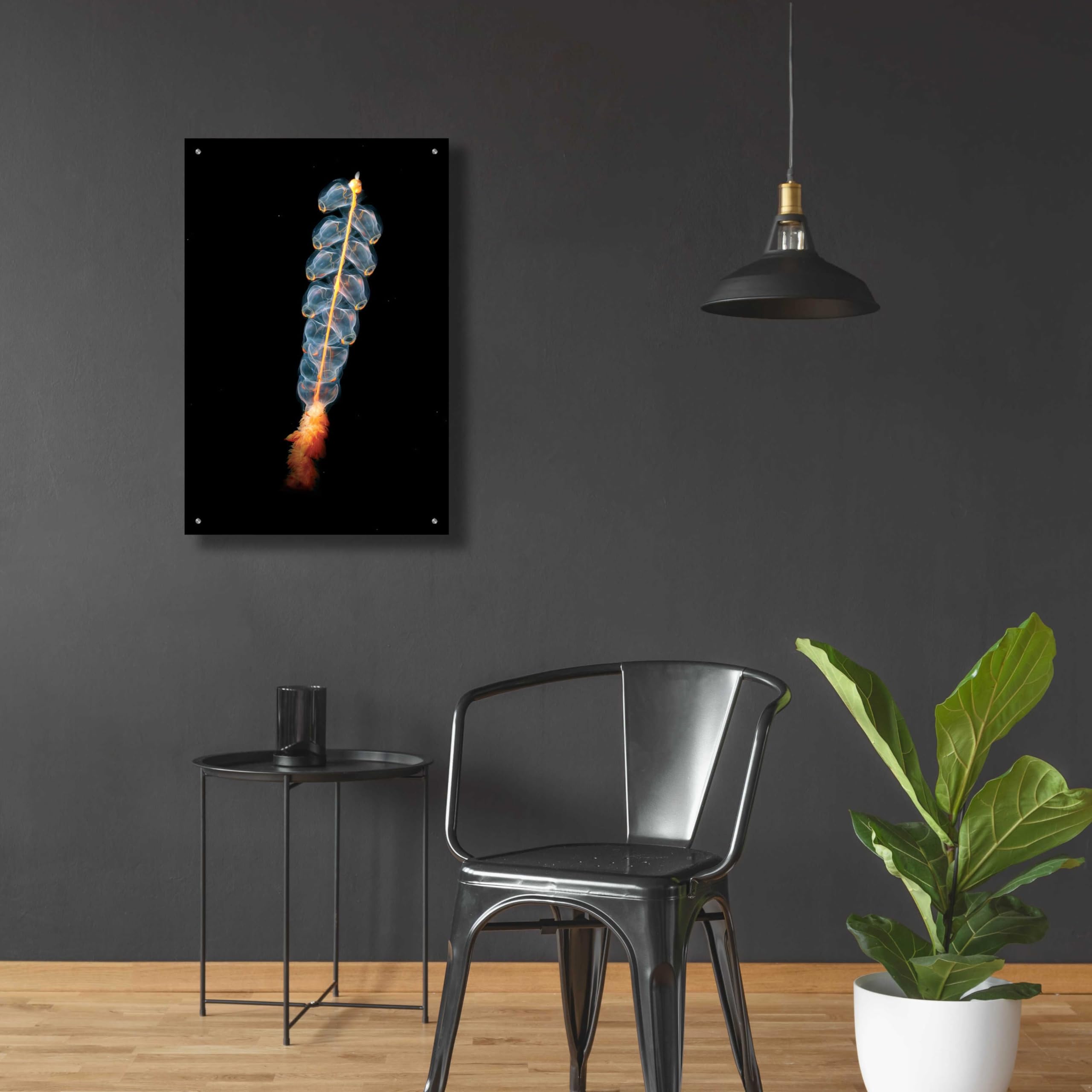 Epic Art 'Deep Sea Rocket' Acrylic Glass Wall Art - 24x36 Inches Modern Ocean Themed Painting for Living Room, Bedroom & Office Decor