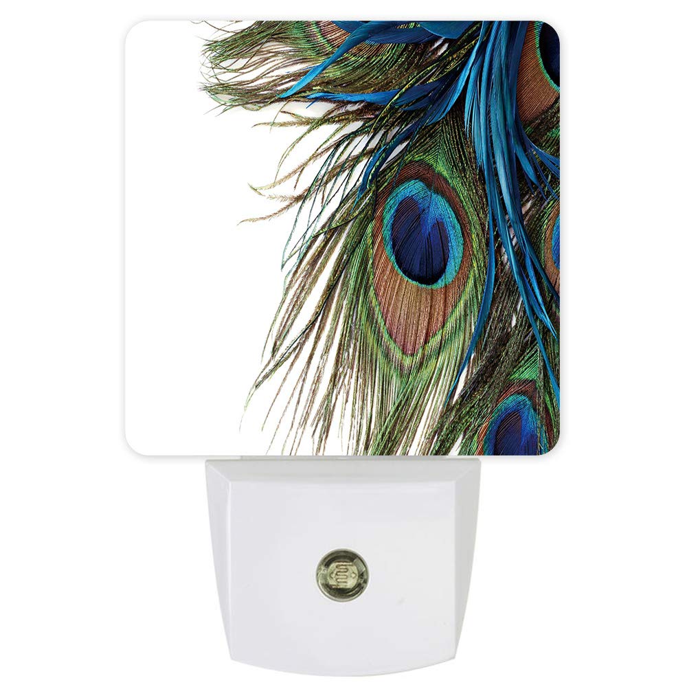 Blue Peacock Feather LED Night Light with Light Sensor - Plug in Wall Nightlight for Bedroom, Nursery, Kids Room Decor - Perfect for Bedtime, Hallway Safety & Soothing Nighttime Ambience