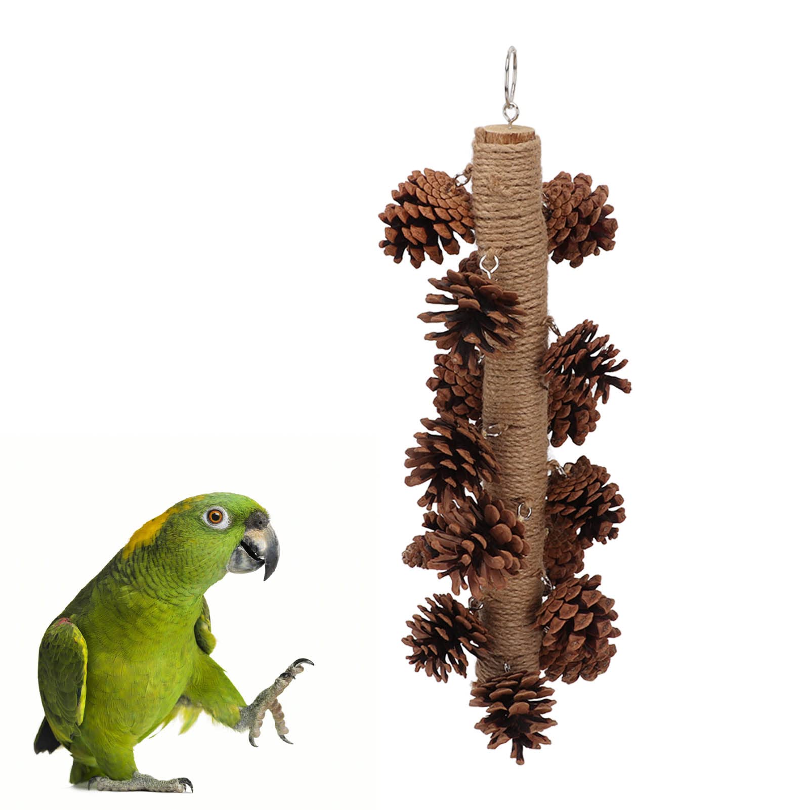Tnfeeon Natural Wooden Pine Cone Chewing Toy for Parrots - Hanging Bird Cage Beak Grinding & Molar Toy - Perfect for Parrot Enrichment and Beak Maintenance