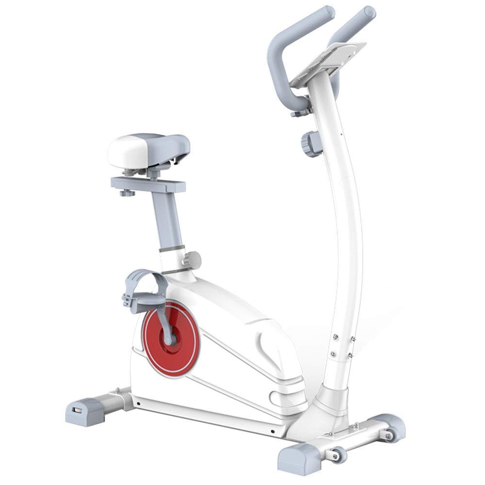 ZCYXQR Ultra-Quiet Indoor Cycling Bike - Compact Vertical Stationary Exercise Bike for Home Gym, Cardio Workout & Fitness Training - Perfect for Small Spaces, Apartment Workouts & Low-Impact Training