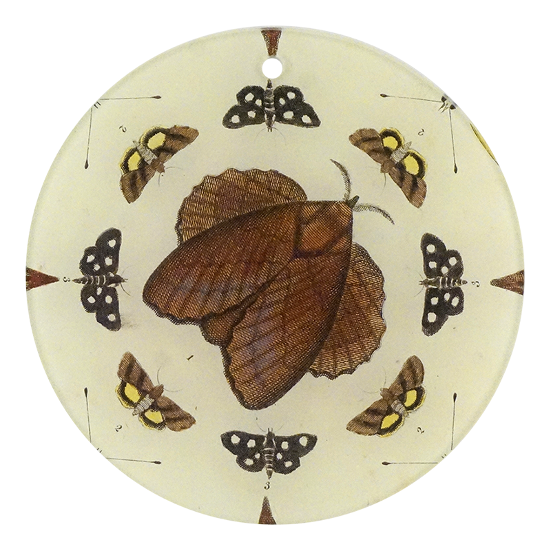 Butterfly Collage Wall Art - Handmade Butterfly Decor for Home, Nursery & Office - Perfect for Bedroom, Living Room & Gift Giving