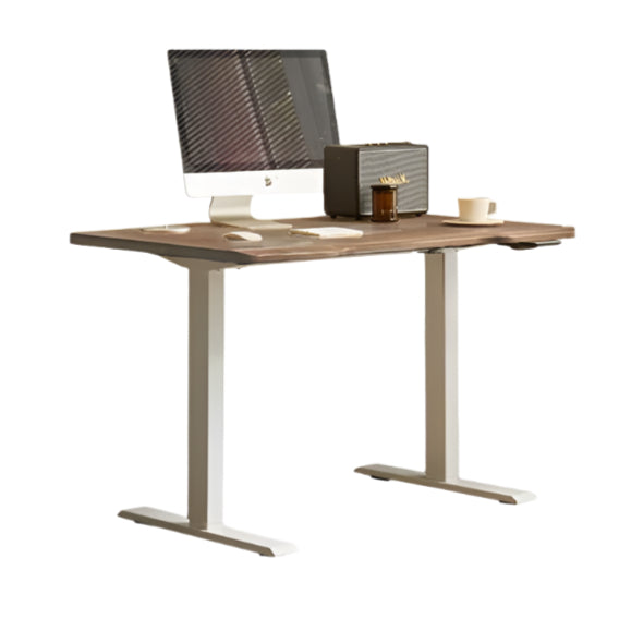 Premium Oak Solid Wood Electric Height Adjustable Standing Desk - Ergonomic Home Office Workstation for Computer & Laptop Use