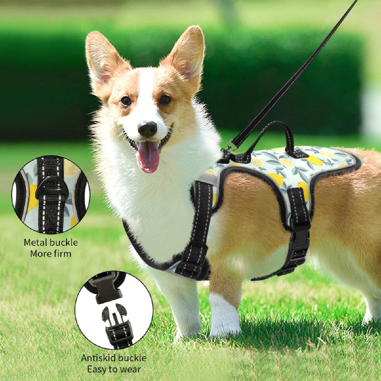 Xigua No-Pull Reflective Dog Harness with Handle - Breathable Pet Vest for Small & Medium Dogs - Perfect for Walking, Running & Outdoor Adventures