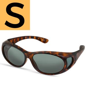 Tortoise Frame With Smoke Lens
