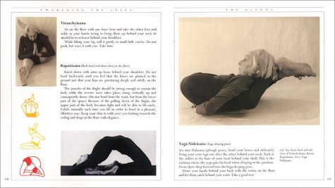 Awakening the Spine: Stress-Free Yoga for Health, Vitality & Energy - Gentle Body Alignment Practice for Home, Office & Travel Wellness