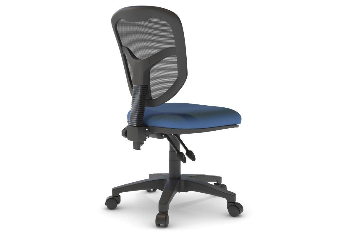 Plover Ergonomic Office Chair with Breathable Mesh Back - Adjustable Lumbar Support & Tilt Function for Home & Office Workspaces