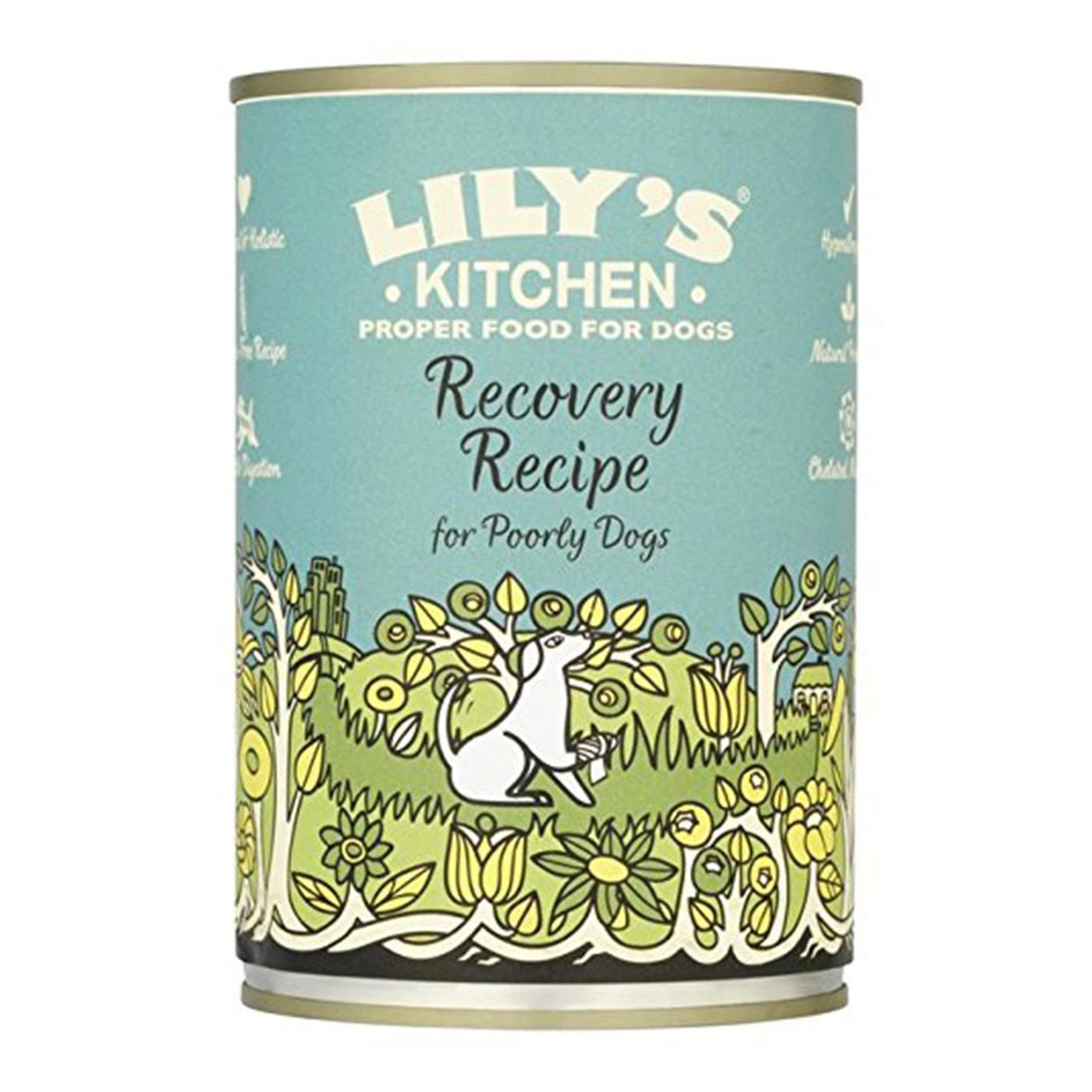 Lily's Kitchen Recovery Recipe Dog Food - Grain-Free, High-Protein Wet Food for Dogs - Supports Healing & Immune System - Perfect for Post-Surgery, Illness Recovery & Senior Dogs