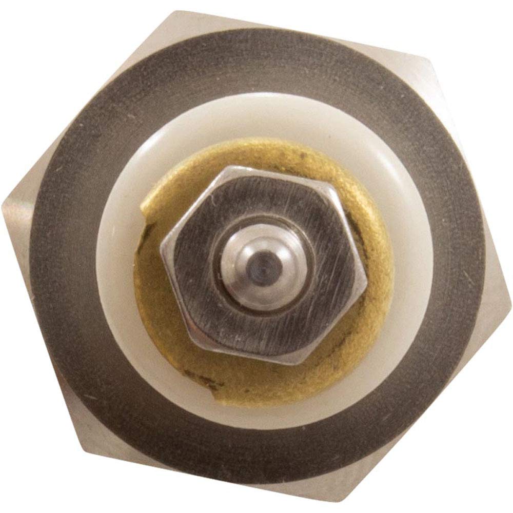 Raypak 007228F Low Water Cut Off Remote Sensor Replacement Part - Compatible with Pool & Spa Heaters - Ensures Safe Water Levels for Heating Systems
