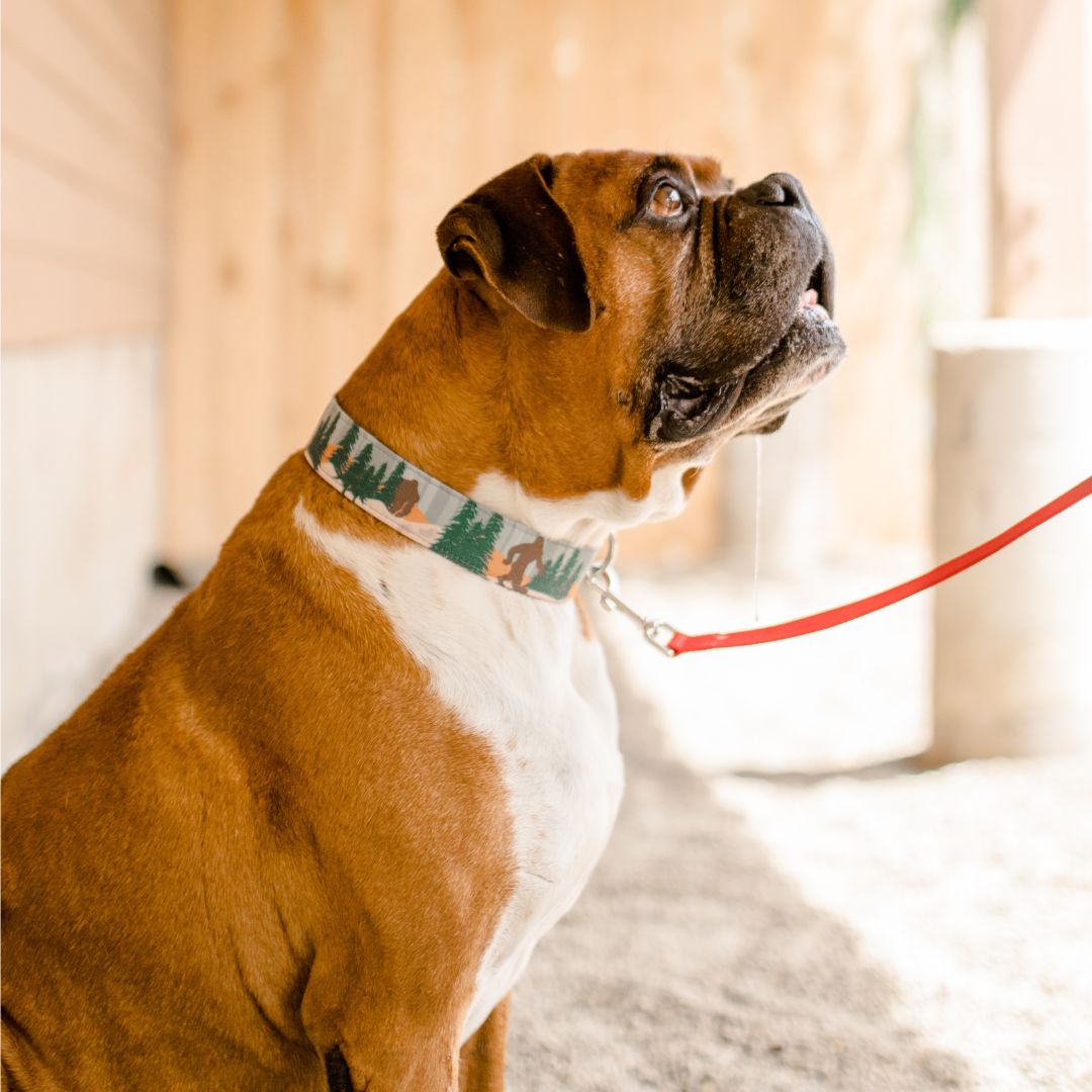 Bigfoot Dog Collar - Durable Nylon Pet Collar with Adjustable Buckle for Medium & Large Dogs - Perfect for Hiking, Camping & Outdoor Adventures