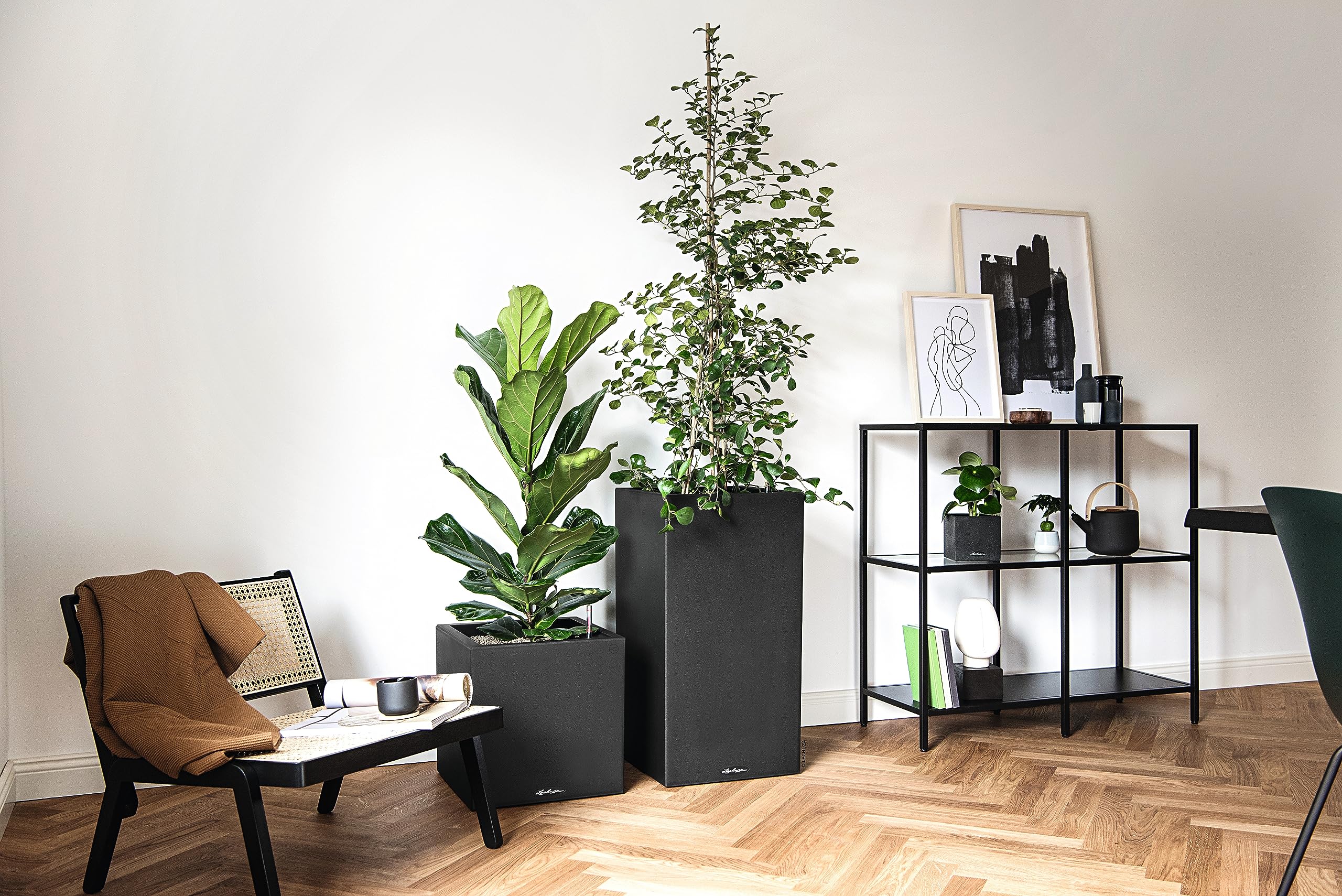 Lechuza 13702 Canto 30 Square Self-Watering Planter - Graphite Black Indoor/Outdoor Garden Pot for Plants, Flowers & Herbs - Perfect for Patio, Balcony & Home Decor