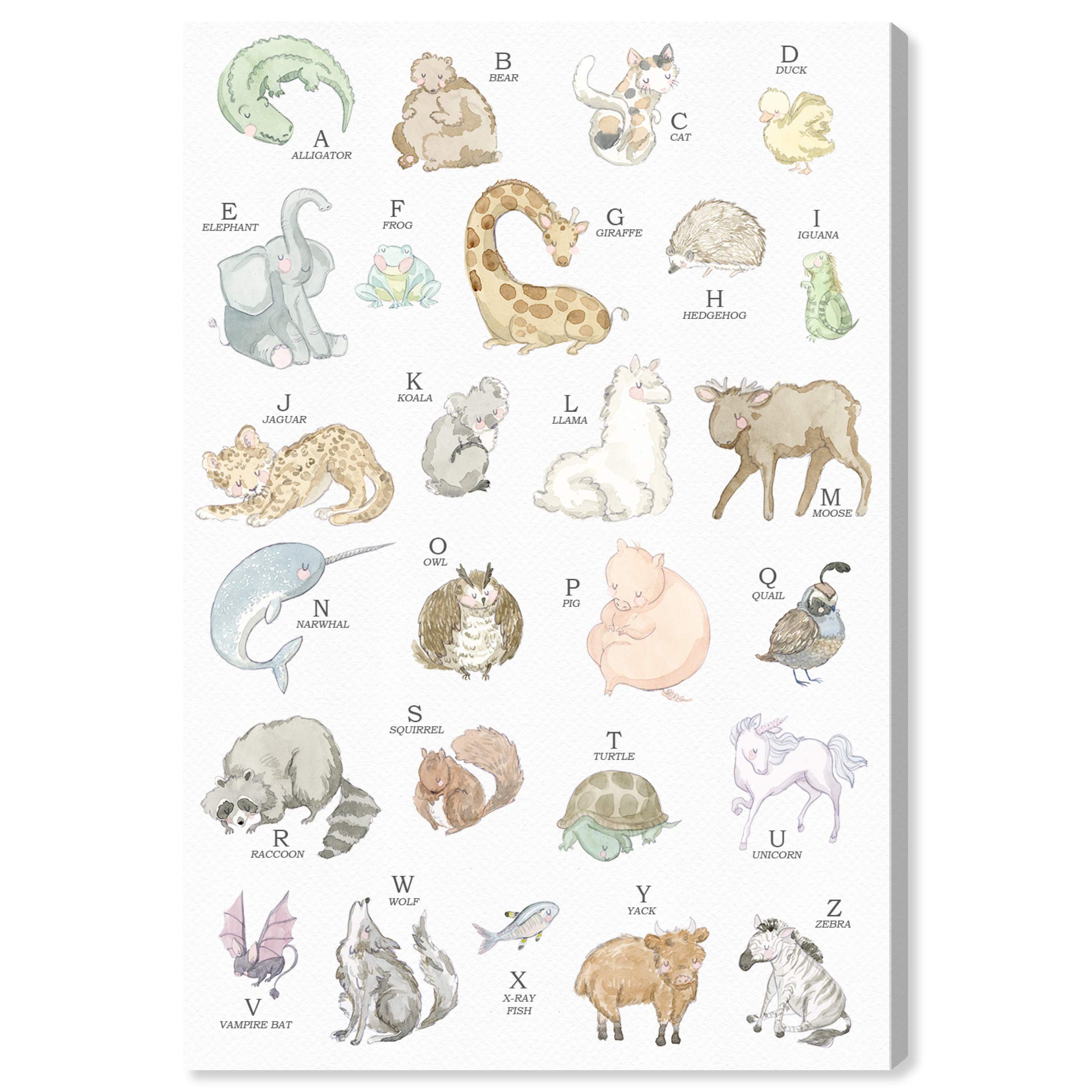 Oliver Gal Artist Co. Baby Alphabet Animals Wall Art Canvas Prints - 24