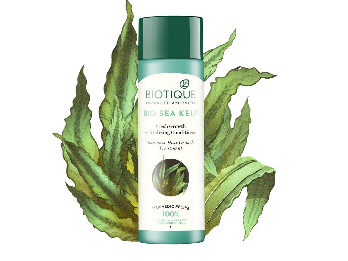 Biotique Bio Sea Kelp Fresh Growth Revitalizing Conditioner & Bio Mountain Ebony Hair Growth Serum - 120ml Each for Damaged Hair Repair & Thinning Hair Treatment - Perfect for Daily Hair Care Routine & Scalp Nourishment