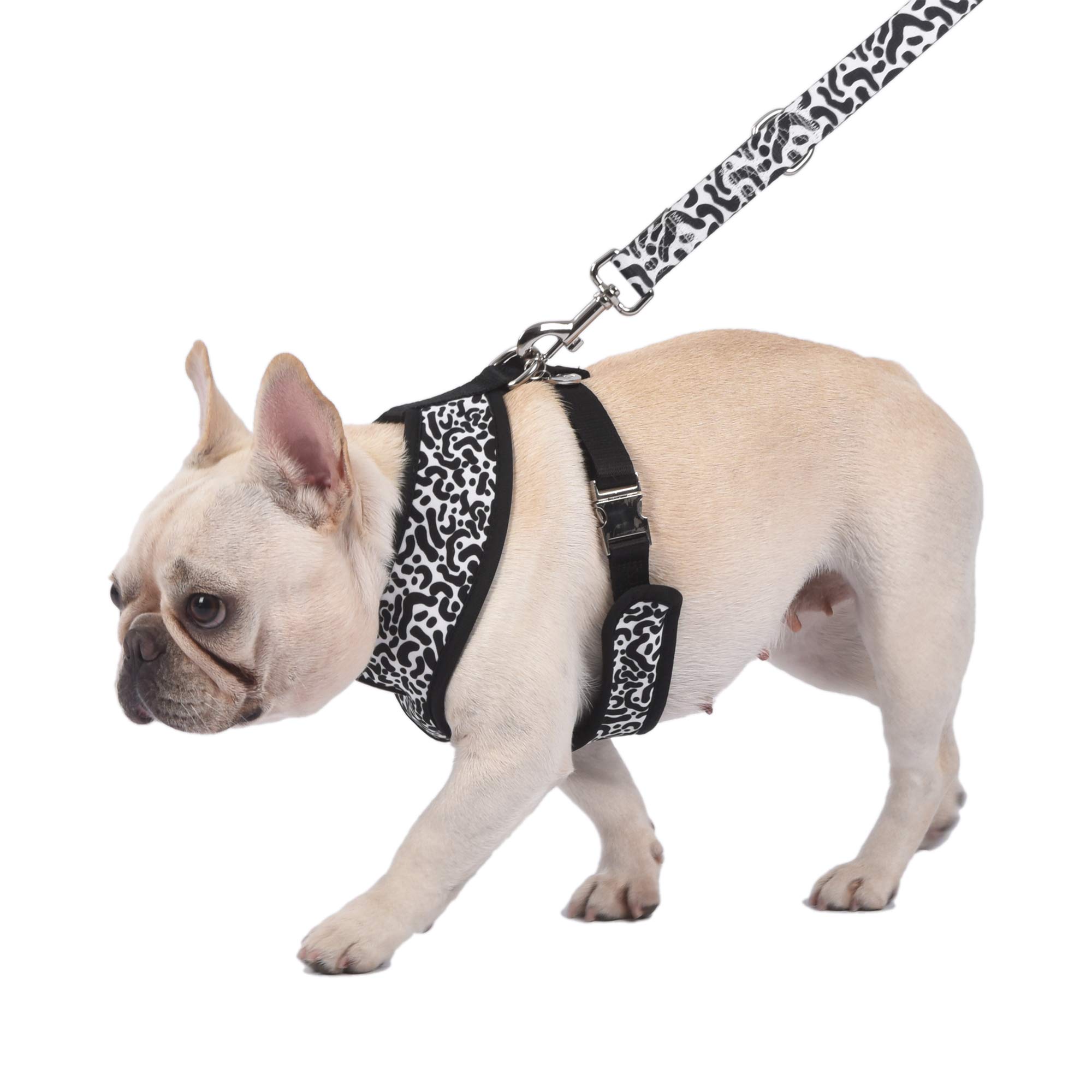 Jonathan Adler Leo Reversible Dog Harness - Small | Fashionable Leopard Print Pet Accessory for Small Dogs | Perfect for Walks, Travel & Outdoor Adventures