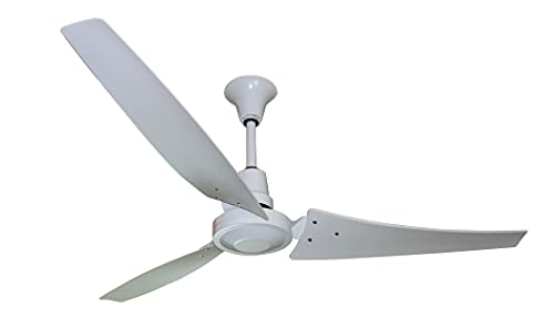 TPI Corporation E56-CF 56 Inch Indoor Outdoor Ceiling Fan with 18