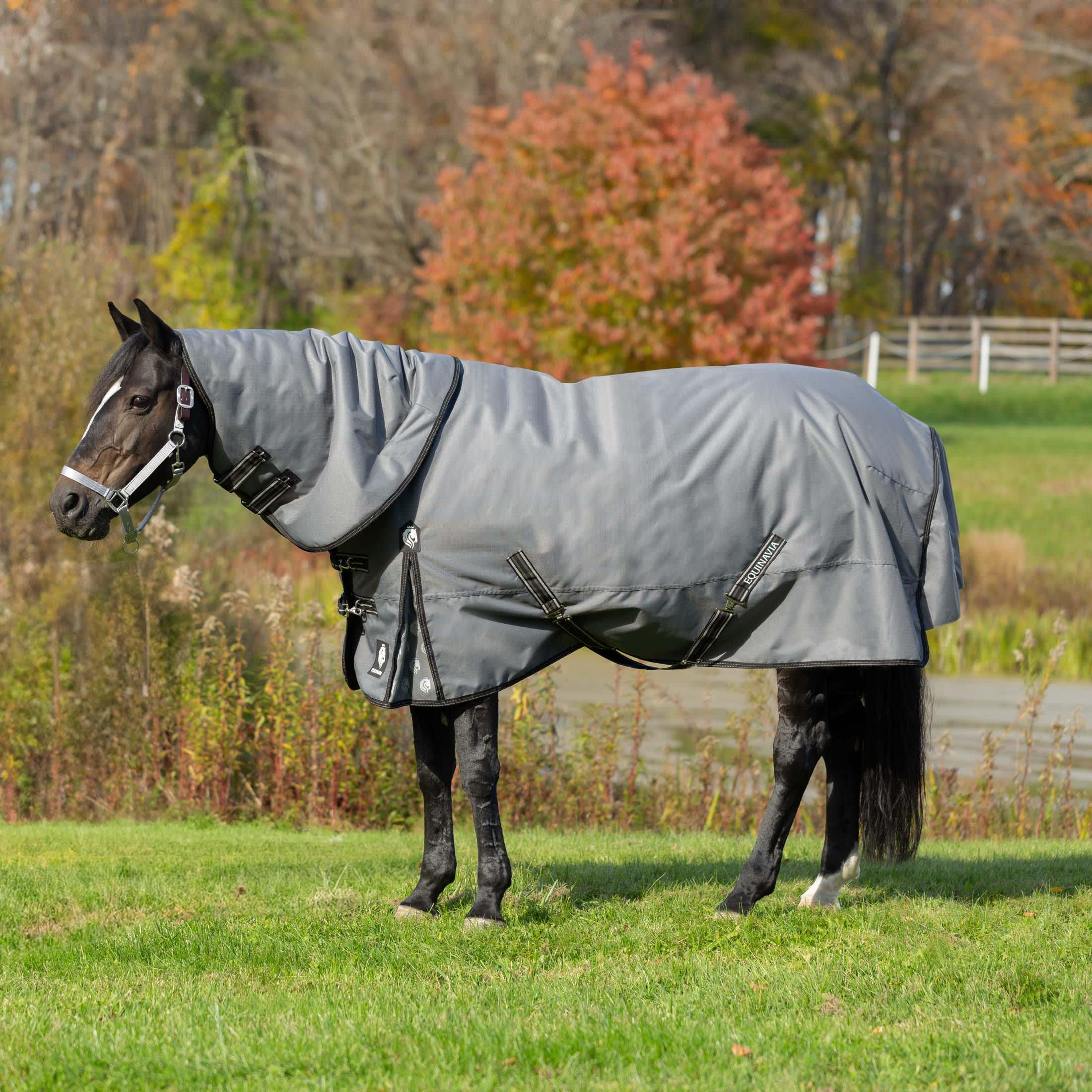 Equinavia Arktis Regular Neck Turnout Sheet - Waterproof Horse Blanket for Cold Weather - Carbon Gray - 81 Inches - Ideal for Winter Riding and Stable Use