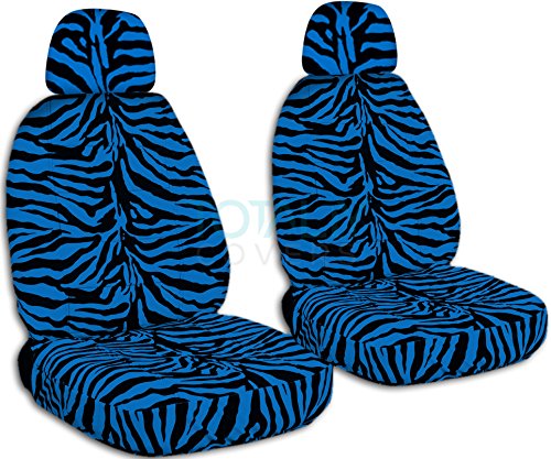 Blue Zebra