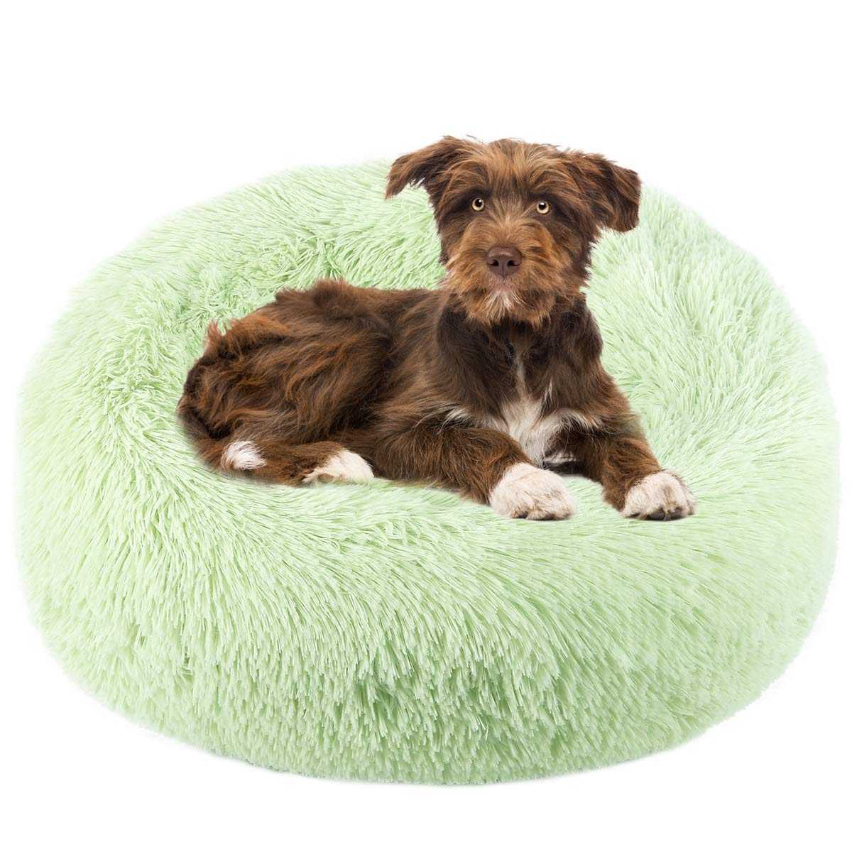 NOYAL Calming Dog Bed - Donut Cuddler Anti-Anxiety Pet Bed for Small & Medium Dogs & Cats - Soft Fluffy Washable Comfort for Anxiety Relief, Travel & Home Use
