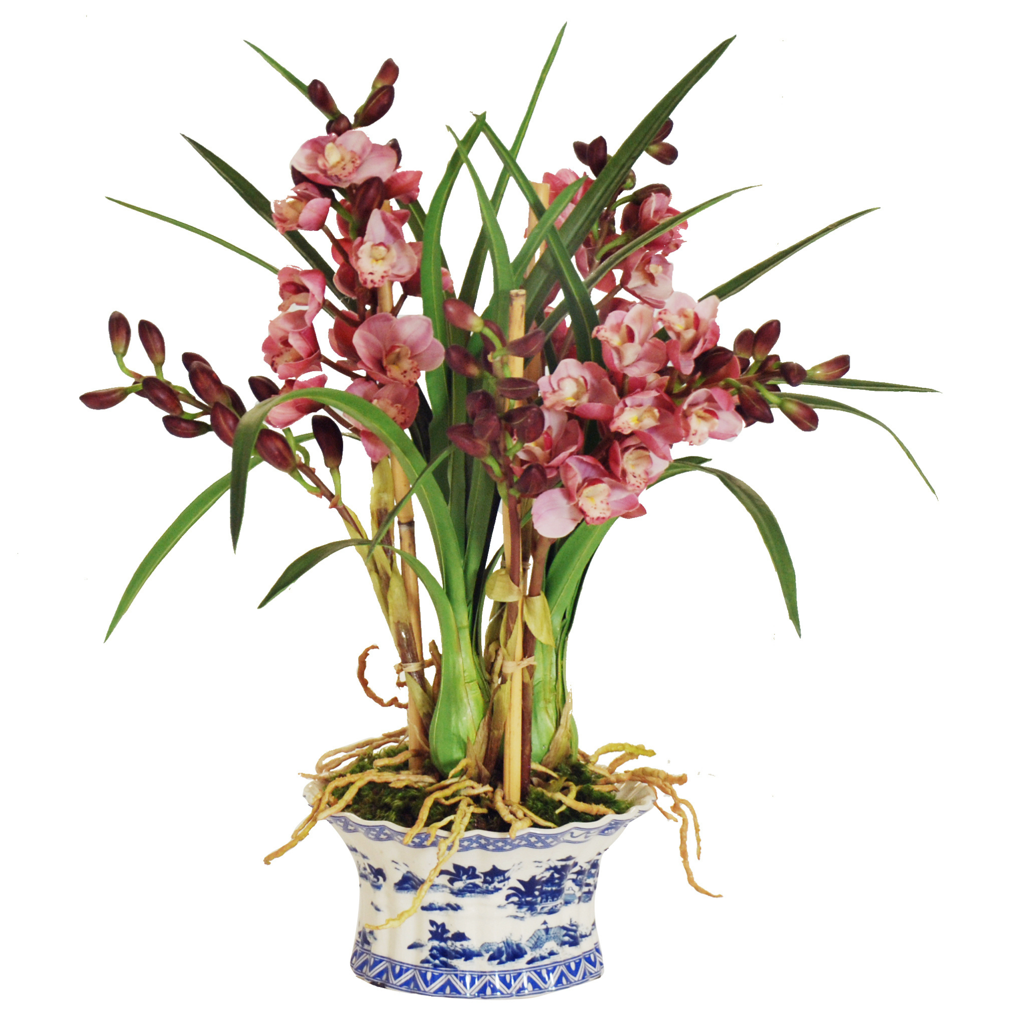 Beautiful Pink Cymbidium Orchid in Elegant Oval Planter - Perfect for Home Decor, Office Gift & Wedding Centerpiece