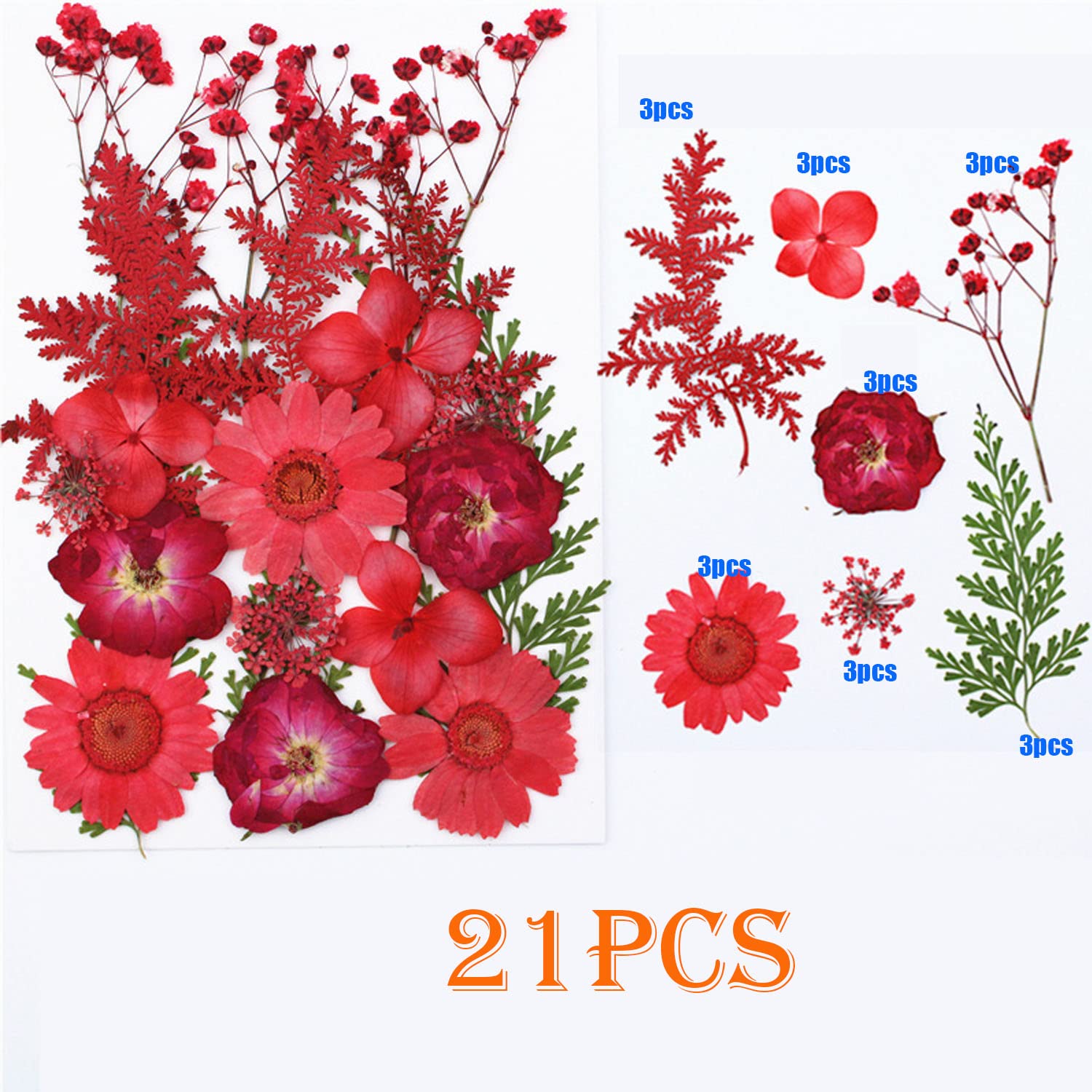 Woohome 126PCS Real Pressed Flowers Kit - Natural Dried Pressed Flowers for Resin Art, Nail Art, Scrapbooking, Candle & Jewelry Making - Premium Resin Craft Supplies for DIY Projects & Home Decor