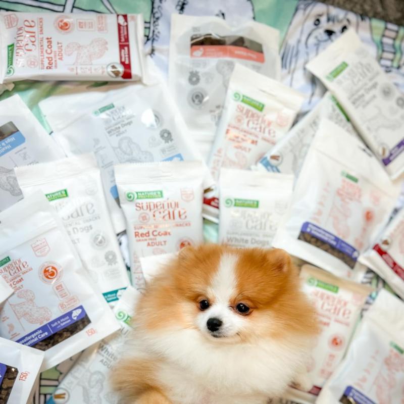 Premium Adult Dog Dental Chews with White Fish - Light Coated Teeth Cleaning Treats for Small & Large Breeds - Freshens Breath & Reduces Plaque - Perfect for Daily Oral Care & Training Rewards