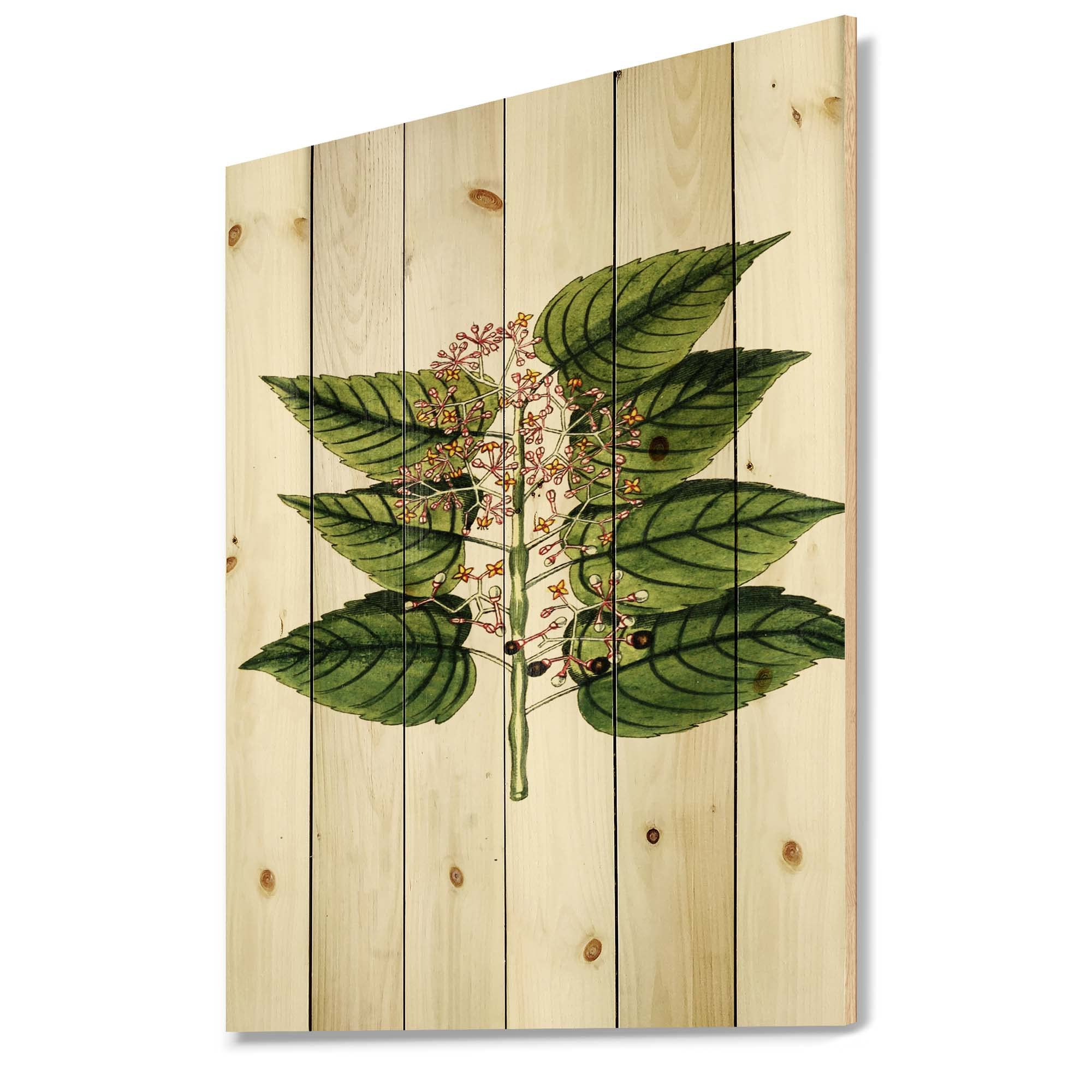 Vintage Plant Life XXVI Traditional Wood Wall Decor - Large Floral Wood Wall Art Panel Printed on Natural Pine - Perfect for Living Room, Bedroom, or Office Decoration