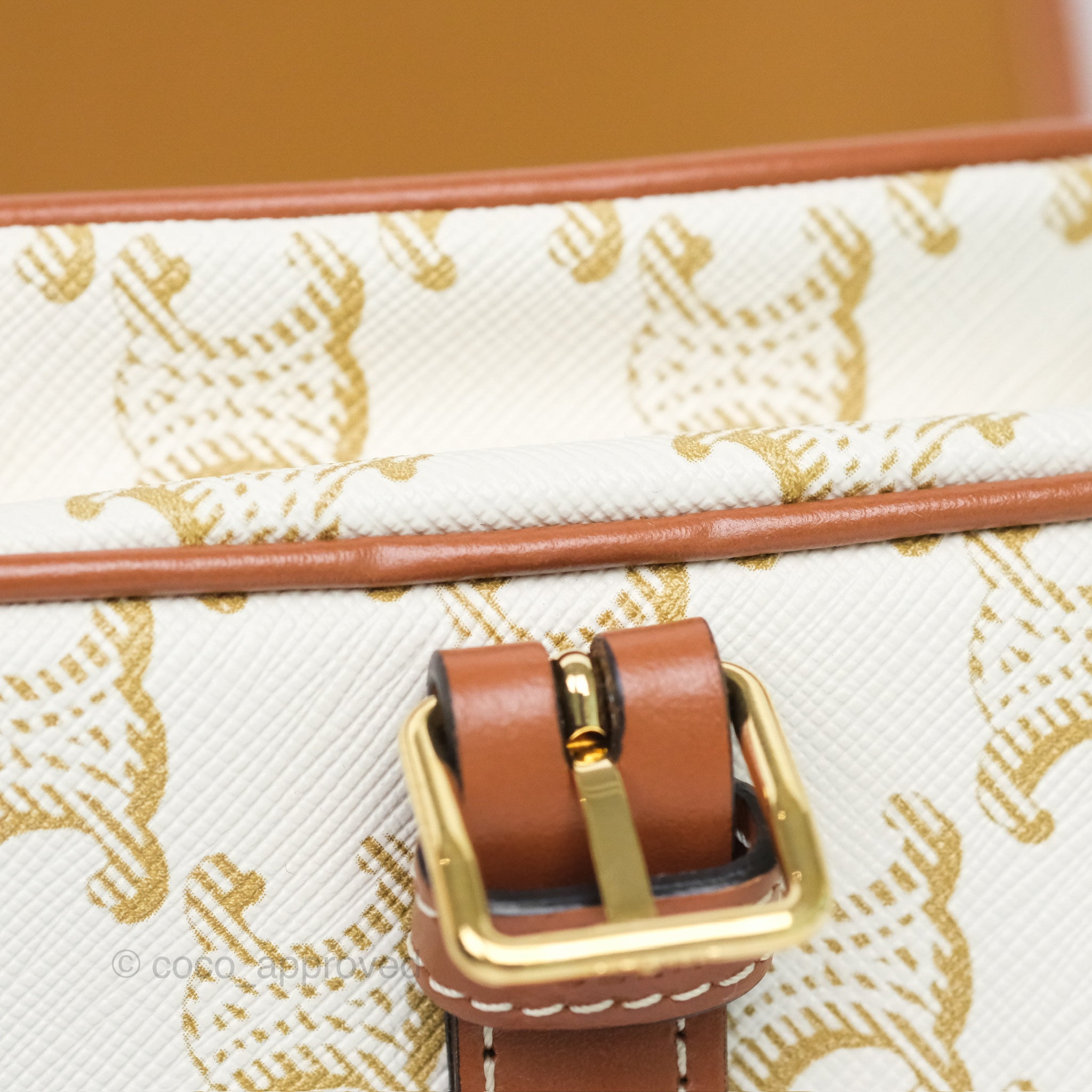 Celine Medium Triomphe Canvas Folco Bag in White - Luxury Handbag for Women, Perfect for Work, Travel & Everyday Use