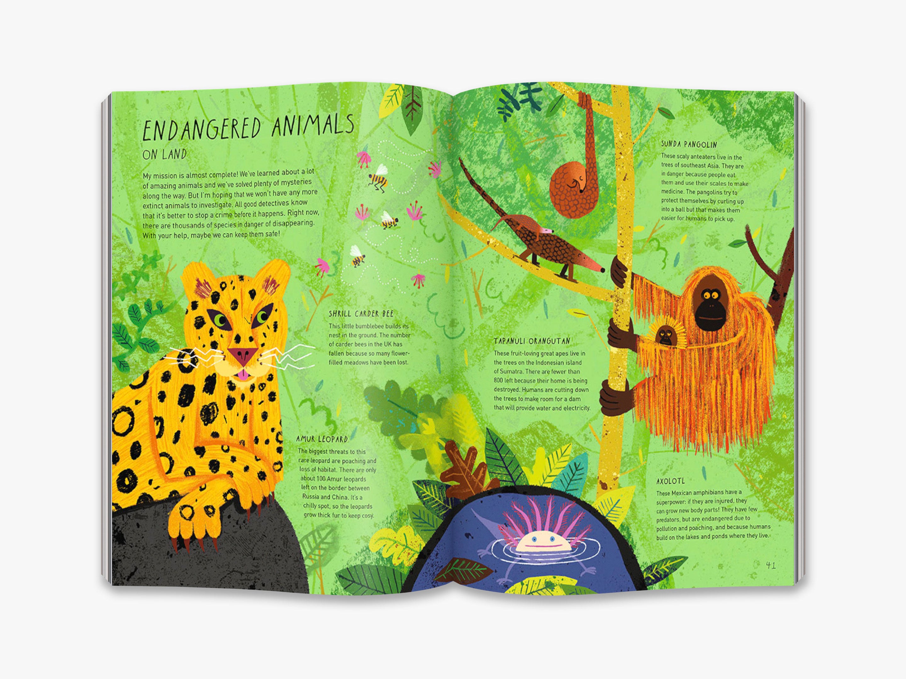 Danny Dodo's Detective Diary - Kids Mystery Book Series | Fun Educational Reading for Children | Perfect for Bedtime Stories & Classroom Activities