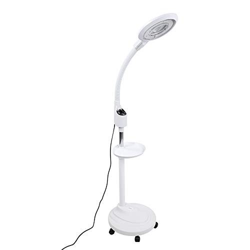 8X Magnifying LED Floor Lamp with Adjustable Arm - Eye Protection Illumination for Tattoo, Nail Art, Beauty Salon, Dental Work, Reading & Skincare | Perfect for Home, Office & Professional Studios (US)