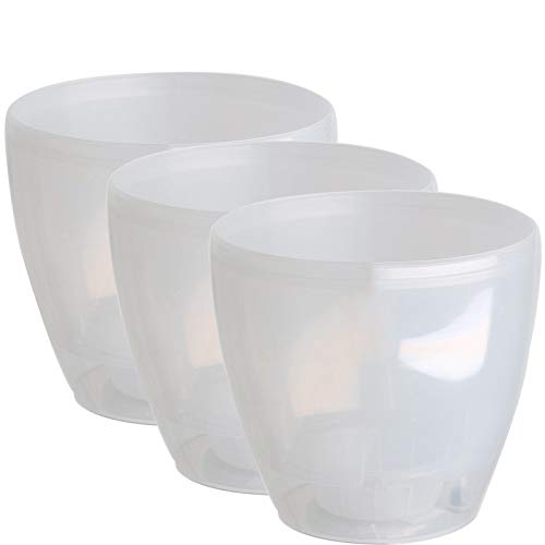 Transparent - Set of 3