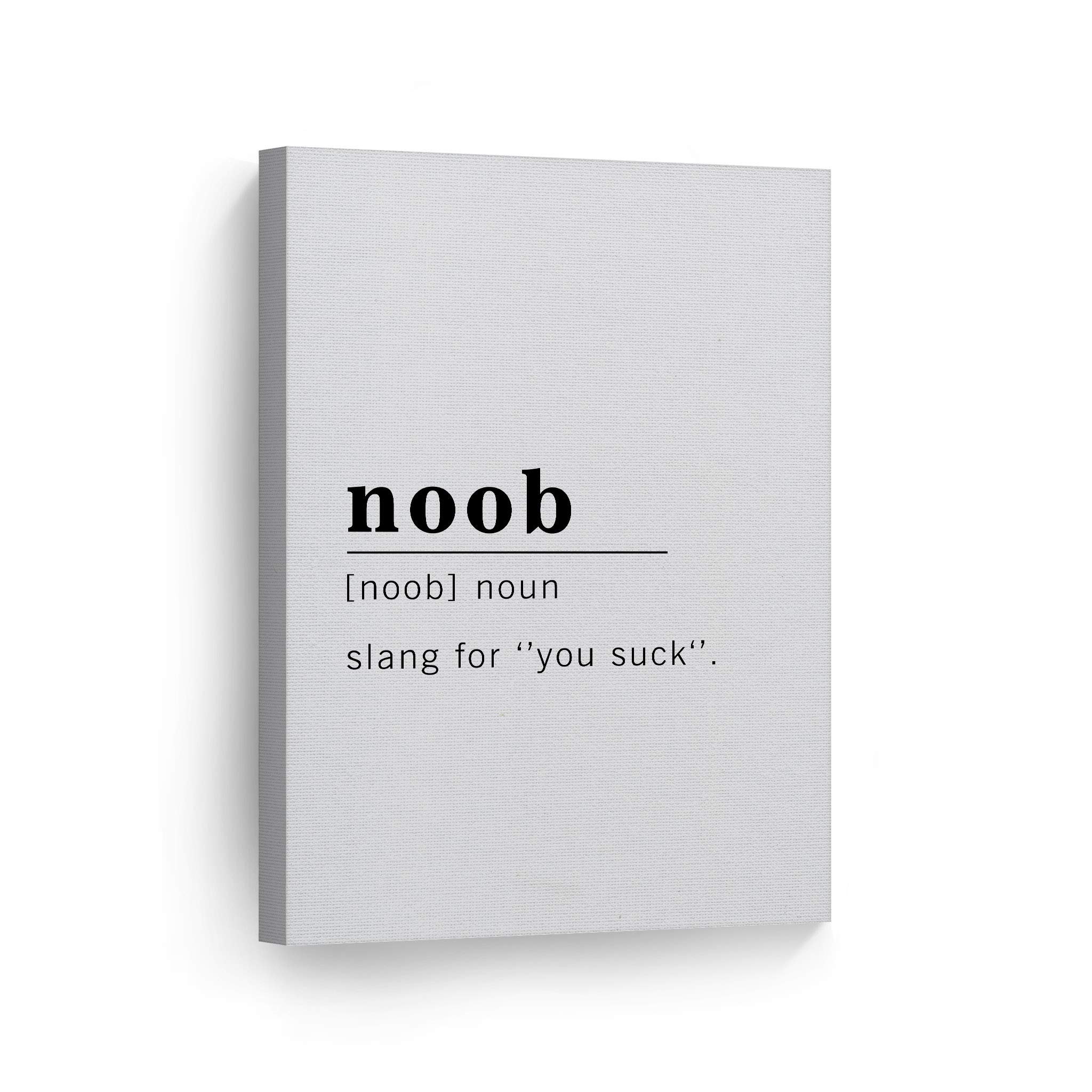 Noob Definition Canvas Print - Funny Noun Dictionary Wall Art for Office, Living Room, Bedroom & Bathroom Decor | Inspirational Quote Sign | Ready to Hang Home Decor (40x30 inches, Made in USA) - Perfect for Gamers Room, Man Cave & Creative Workspace Decor