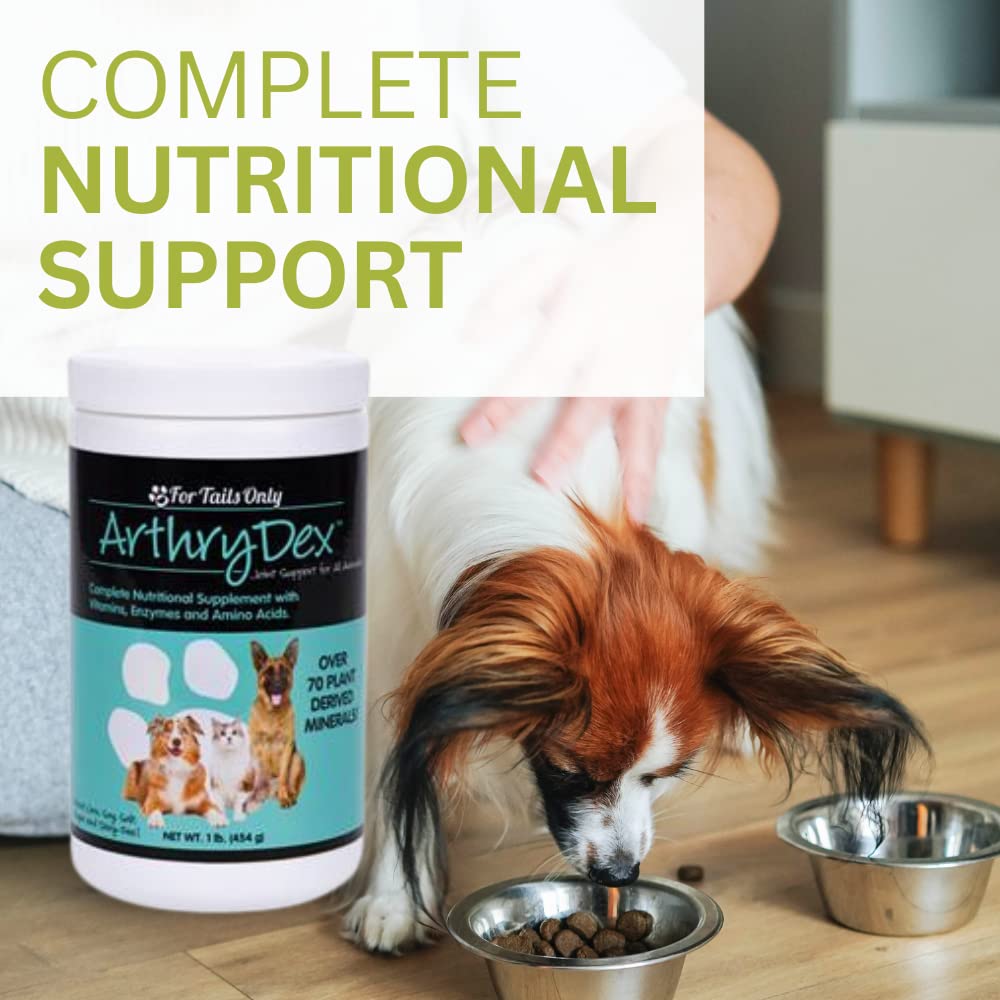 Youngevity Arthrydex Complete Nutritional Supplement for Pets - Vitamins, Probiotics & Enzymes for Healthy Bones & Joints | 1 lb Canister (Pack of 4) | Ideal for Senior Dogs & Cats with Joint Discomfort