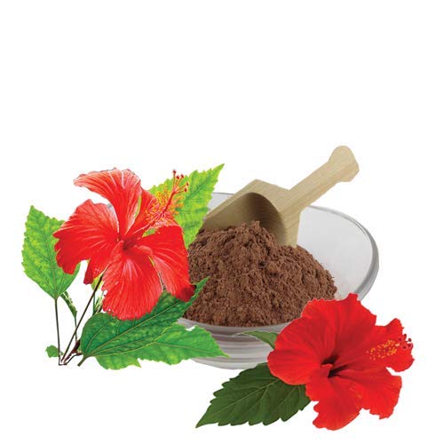 AmazerCare 100% Natural Hibiscus & Aloe Vera Powder Combo for Hair Growth & Skin Care (175g + 150g) - DIY Hair Mask, Face Pack, Scalp Treatment & Beauty Routine Essential