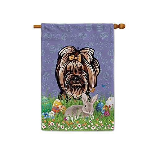 Yorkie 2