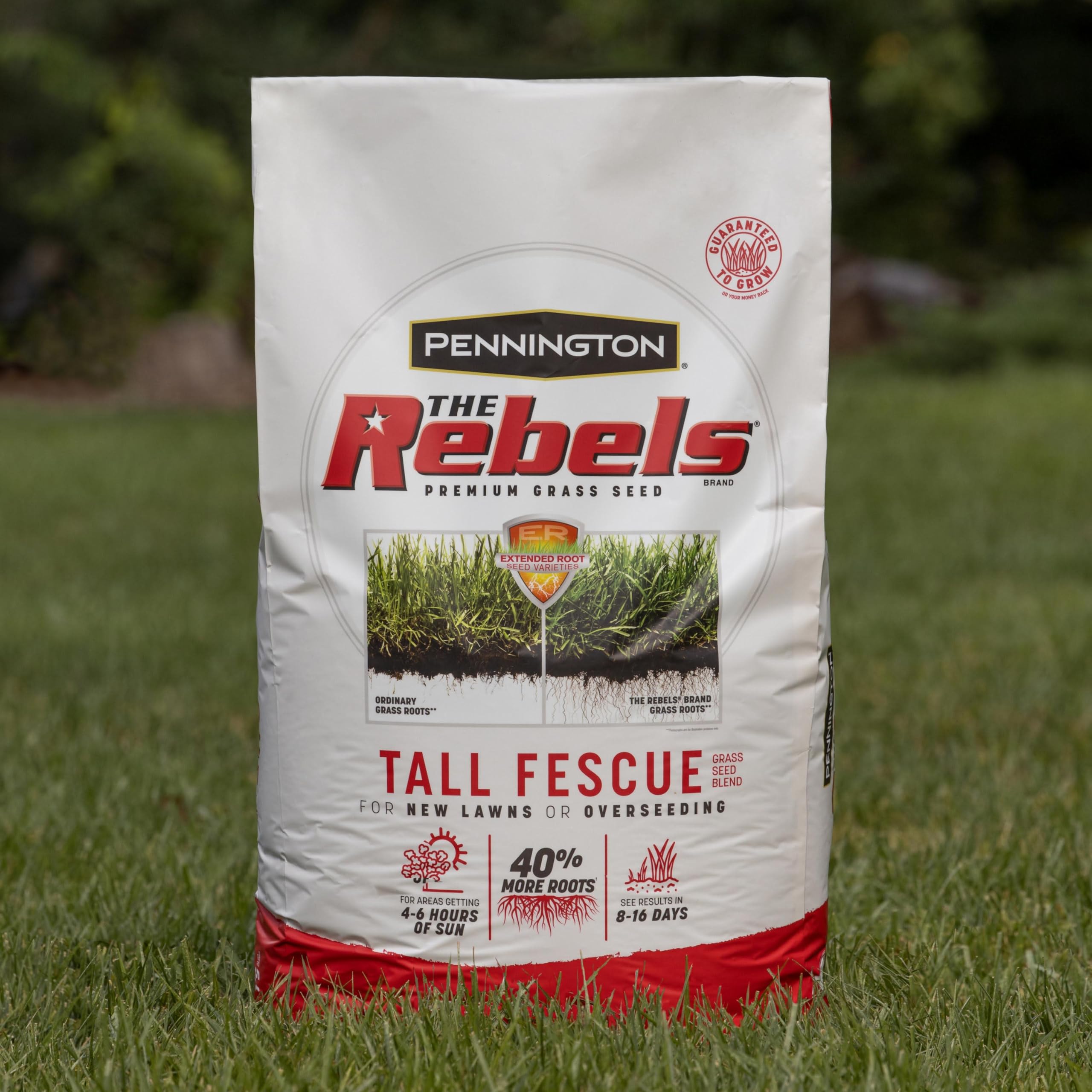 Pennington The Rebels Tall Fescue Grass Seed Mix 7 lb - Premium Drought-Resistant Lawn Seed for Sunny Yards & High-Traffic Areas