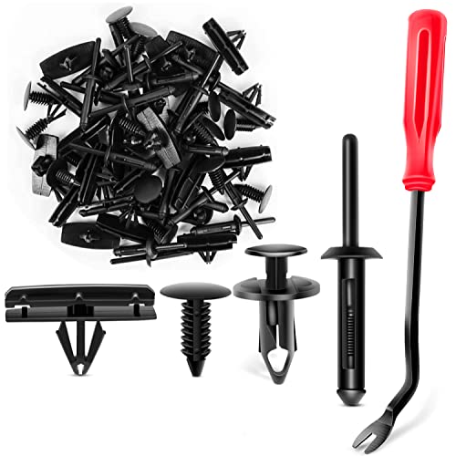 120Pcs Clips + Fastener Remover