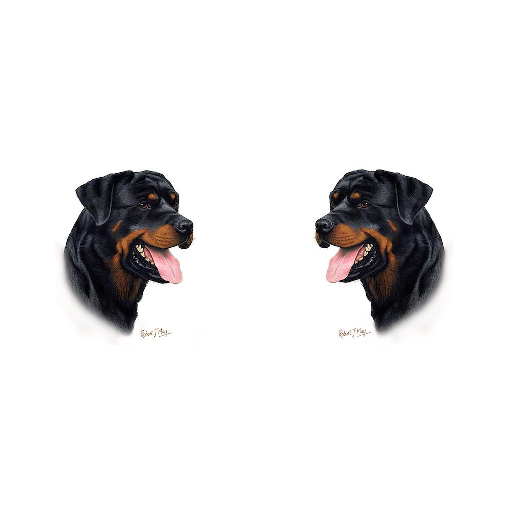 Rottweiler Ceramic Coffee Mug 11 oz (325 ml) - Perfect for Dog Lovers, Office Use & Home Brewing | CafePress