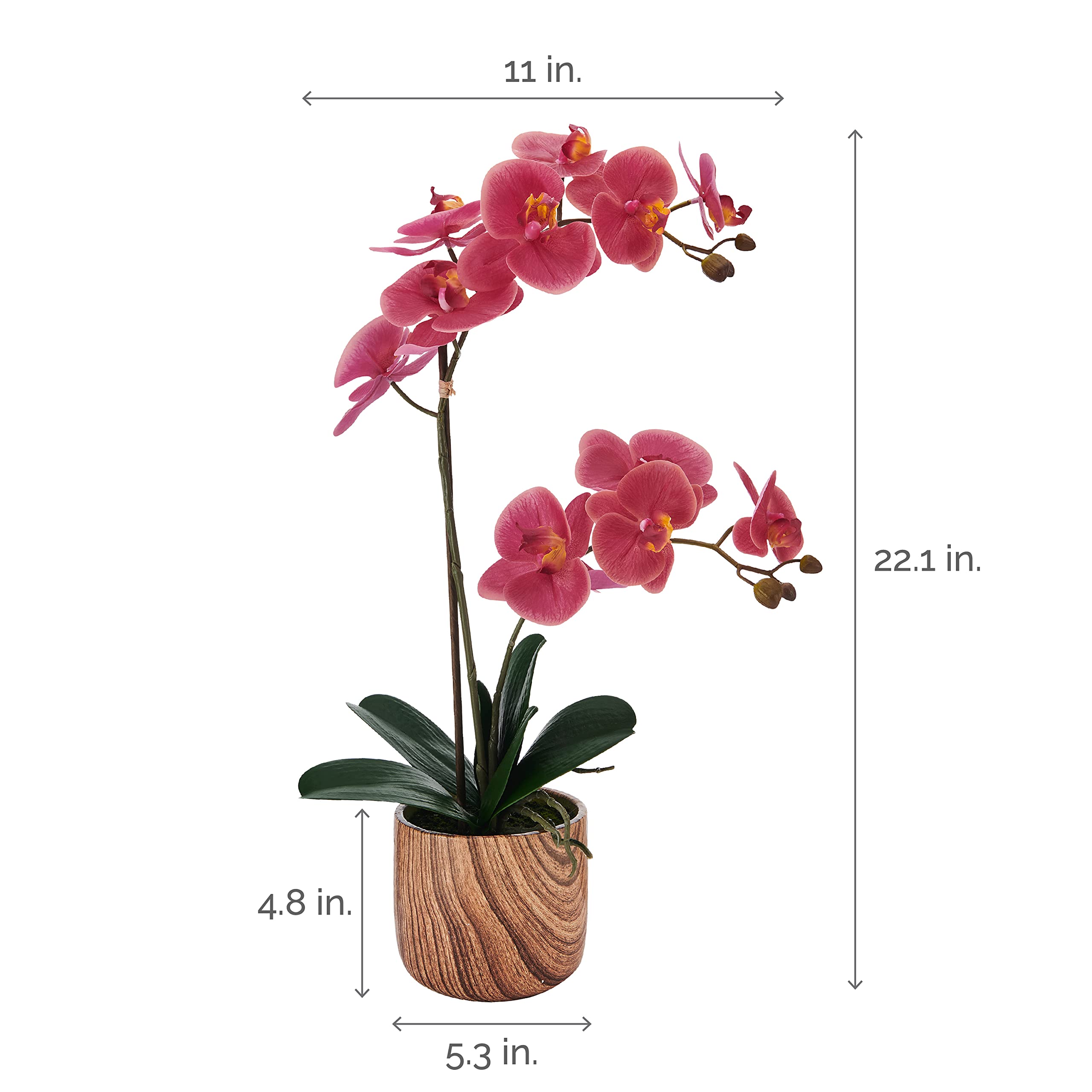 Mikasa Artificial Orchid in Pot - Real Touch Phalaenopsis Silk Flower with Faux Wood Cement Planter, 22-Inch Double Stem Rosewood Home Decor for Living Room, Office, Wedding Centerpiece