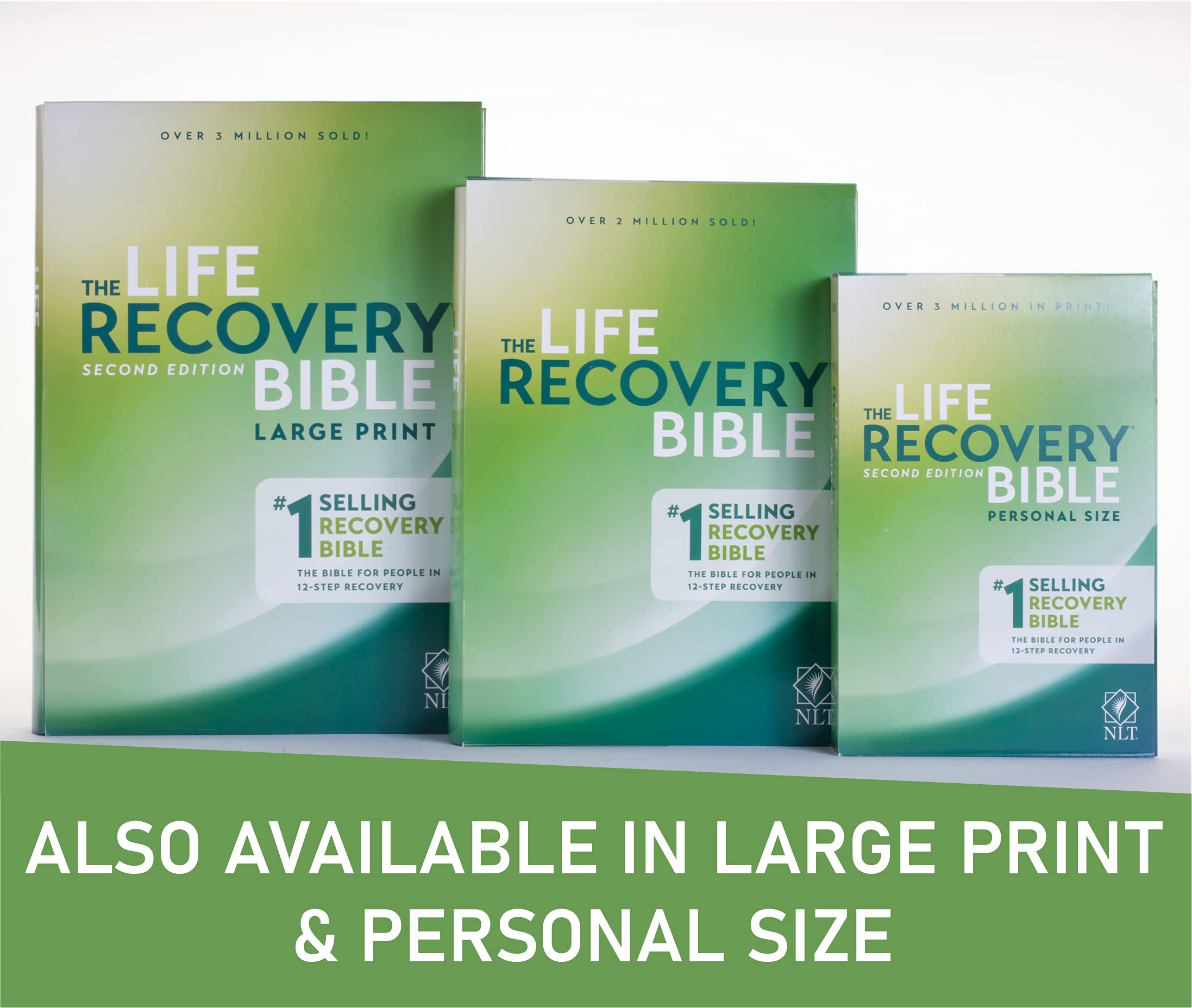 Life Recovery Bible, 2nd Edition Softcover – 12-Step Addiction Recovery Bible for Drugs, Alcohol & Personal Struggles with Meeting Guide | Christian Devotional, Support Groups & Spiritual Healing
