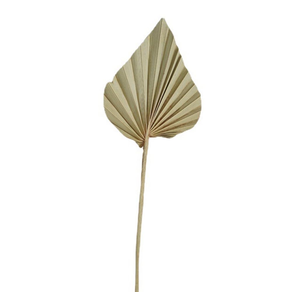 20Pcs Boho Dried Palm Spears Leaves - Natural Small Dried Palm Fans with Stems for Home Decor, Wedding Centerpieces, Vase Fillers and Tropical Themed Party Decorations