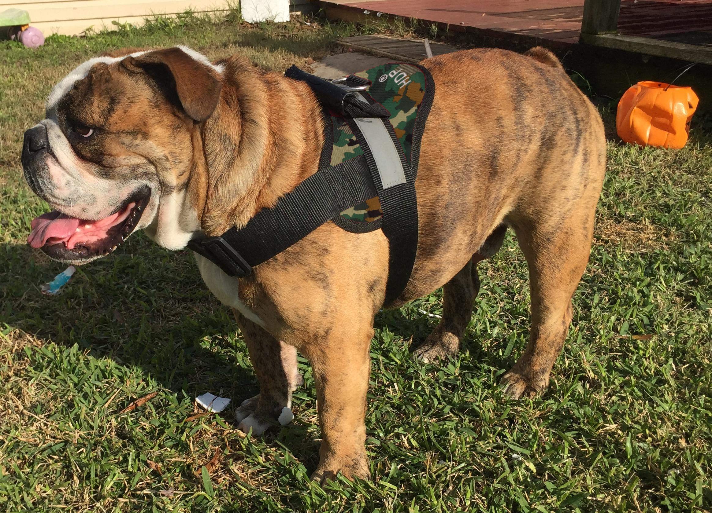 No-Pull Soft Dog Harness for Large Breeds - X-Large Camo Design - Comfortable & Secure for Walking, Training & Outdoor Adventures