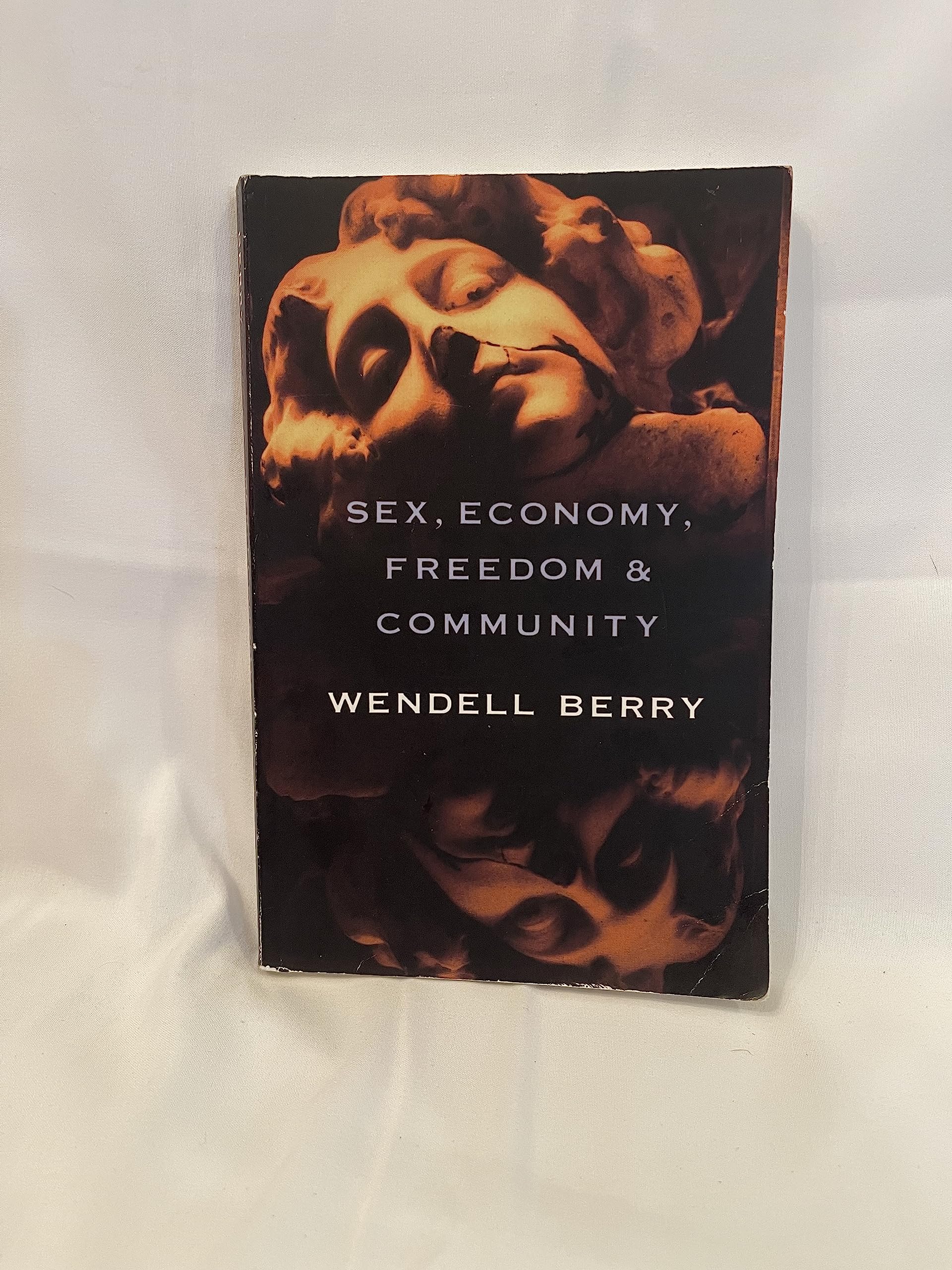 Sex, Economy, Freedom & Community: Eight Thought-Provoking Essays on Modern Society - Perfect for Book Clubs, Academic Studies & Personal Enlightenment