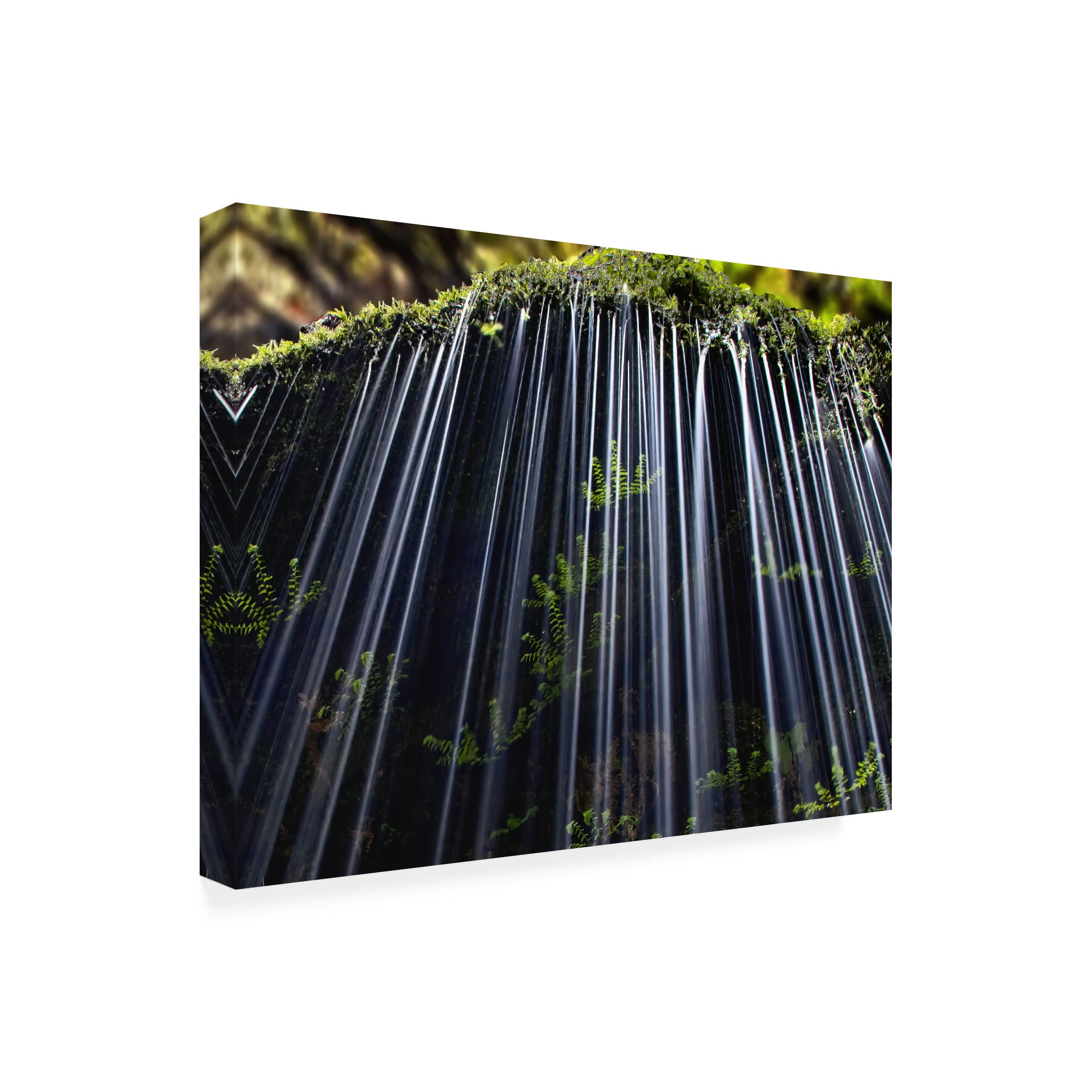 Andrew J. Lee 'Ferns In Spring' Canvas Wall Art Print - Nature Botanical Decor for Living Room, Bedroom & Office