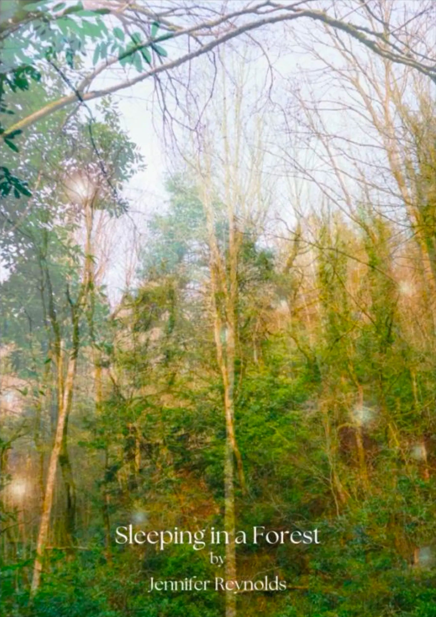 Sleeping in a Forest by Jennifer Reynolds - Nature Inspired Wall Art for Bedroom & Living Room Decor