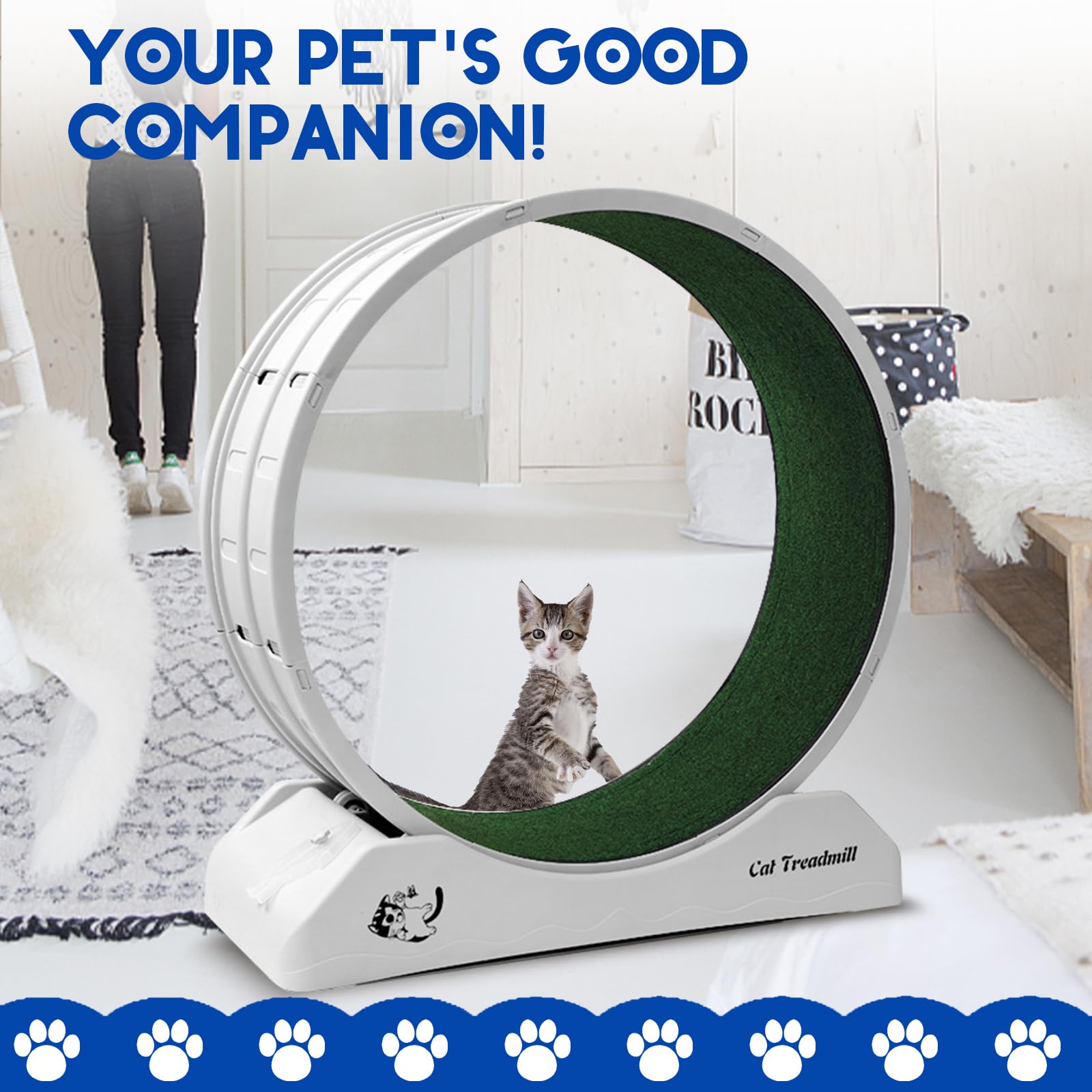 Homegroove Cat Exercise Wheel - Indoor Cat Running Wheel with Carpeted Runway, Durable Plastic Cat Treadmill for Fitness & Weight Control - Perfect for Active Cats' Daily Exercise & Playtime at Home