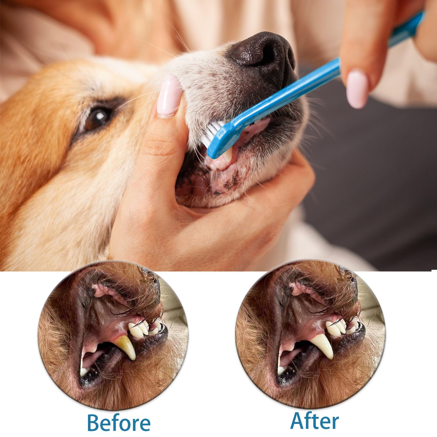 Triple Head Dog Toothbrush Set - Double Head & Finger Rubber Toothbrushes for Dogs & Cats - Multi-Angle Dental Cleaning Kit for Pet Oral Health - Perfect for Daily Teeth Cleaning & Dental Care Routine